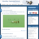 Strona o mrówkach czyli Myrmeblog
