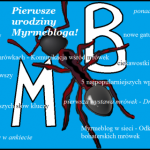 Pierwsze urodziny Myrmebloga